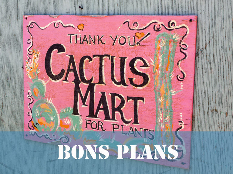 bons plans affiche cactus mart