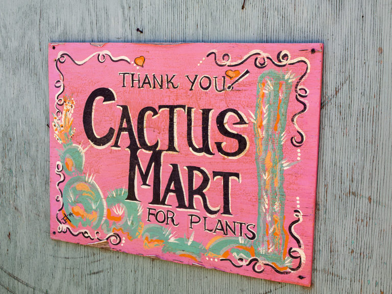 panneau thank you de Cactus Mart