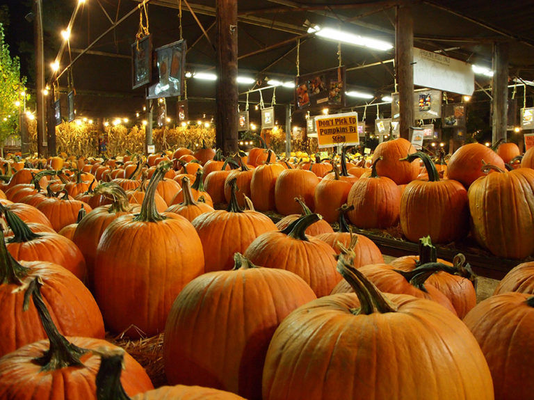 citrouilles en vente pour halloween près de Los Angeles