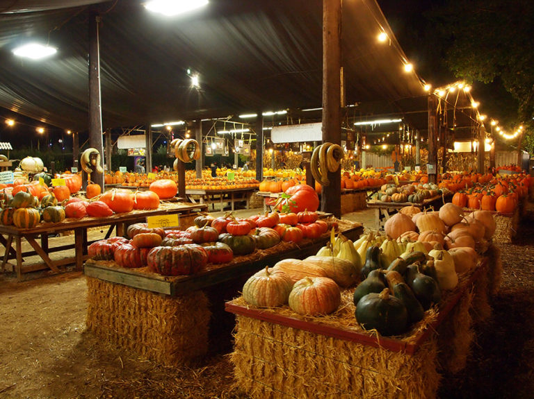 Les étals de courges avant halloween à Los Angeles