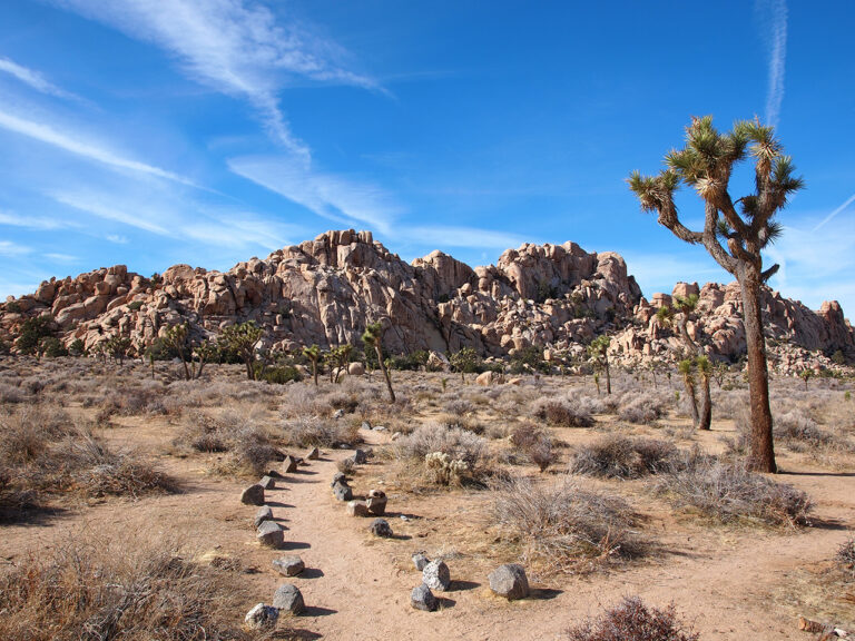 Début d'un trail pour visiter Joshua Tree National Park