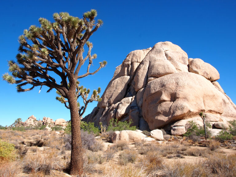 Pile de roches Joshua Tree National Park